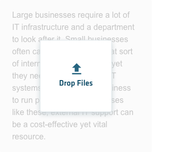 Nets file uploader image