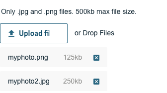 Nets file uploader image